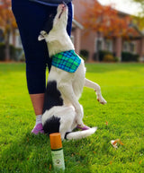 Hydrated silica - Flea and Tick - With Cedarwood Oil and Lemongrass- 6 oz
