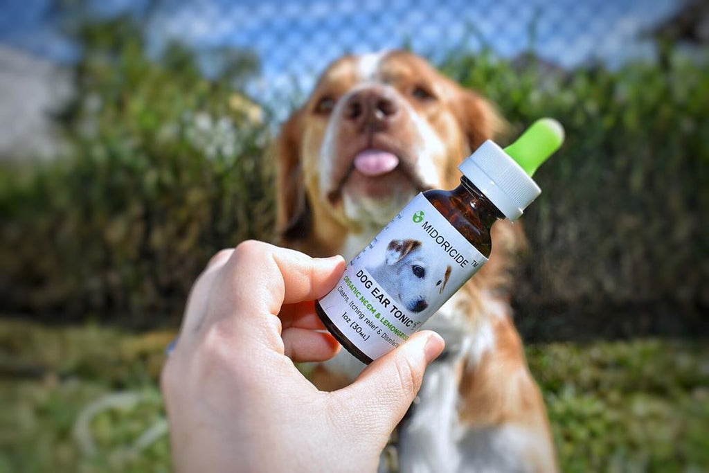 Neem oil shop for dogs ears