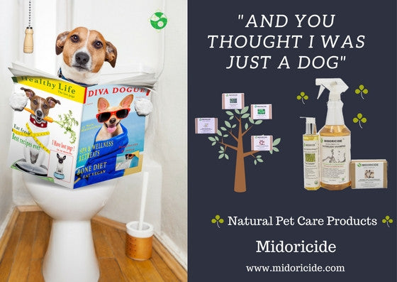 Natural Pet Care Savings