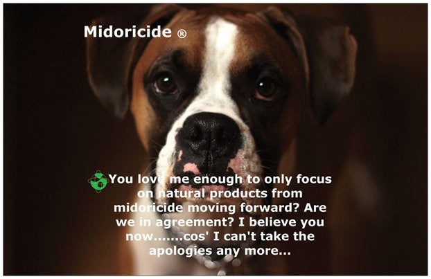 Title held: Midoricide Natural Chief Dog Embassador