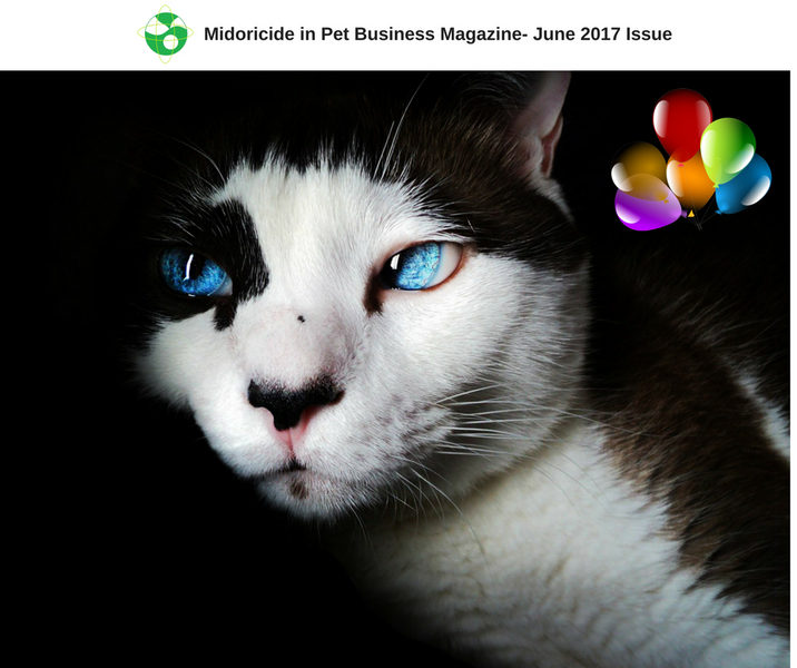 Midoricide in Pet Business Magazine- June 2017 Issue