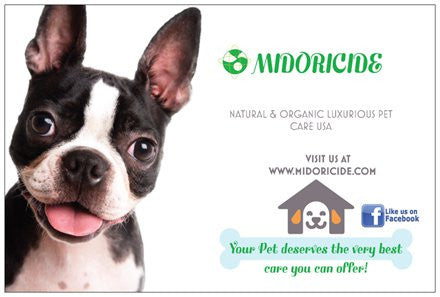 Happy President's day: Pet online store