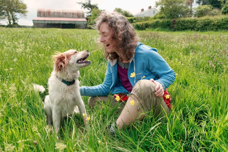 Why Switching to Botanical Pesticides Enhances Your Dog's Well-being